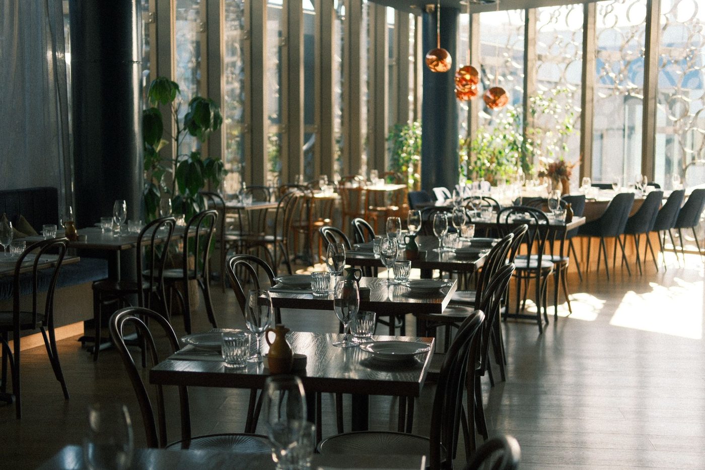 The restaurant upstairs in afternoon sun, plants and copper pendants by the tall windows